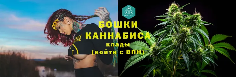 где продают наркотики  Мыски  Конопля OG Kush 